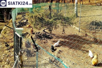 Siatki Tarnobrzeg - Siatka na woliery - zabezpieczenia ptaków w hodowli dla terenów Tarnobrzegu
